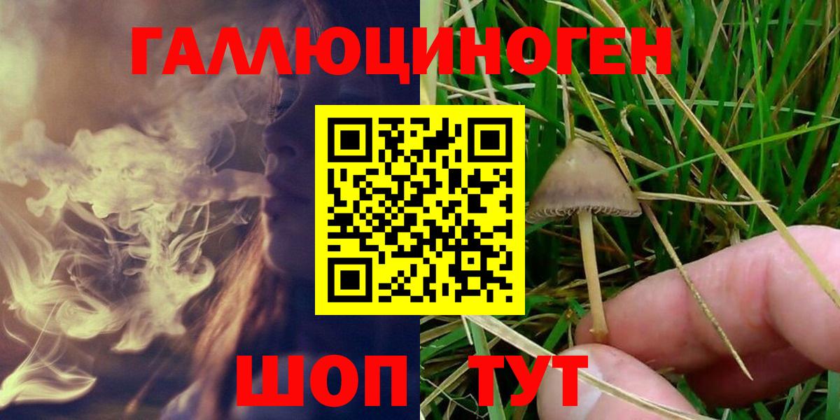 Северобайкальск  Псилоцибиновые грибы GOLDEN TEACHER  Вход с VPN 