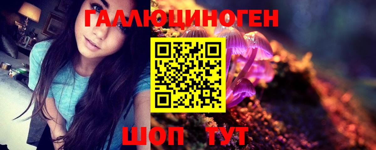 Псилоцибиновые грибы мухоморы Северобайкальск